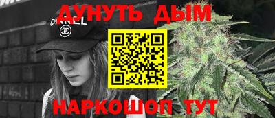 МДПВ Новодвинск