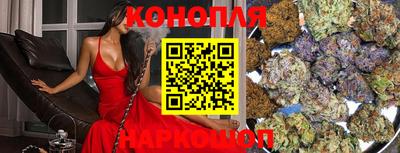 МДПВ Новодвинск