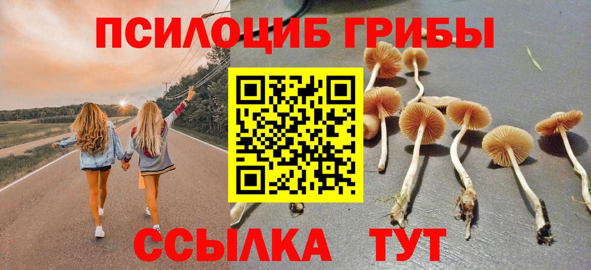 Галлюциногенные грибы мицелий Тулун