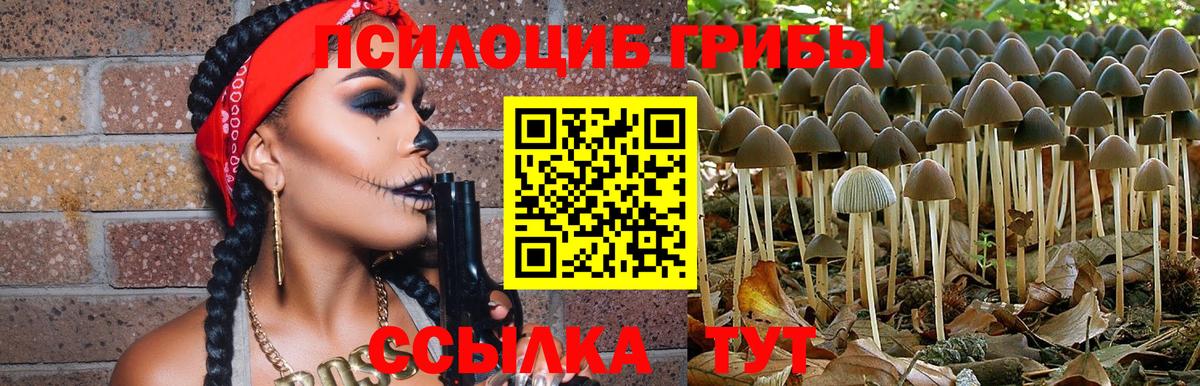 Галлюциногенные грибы мицелий  Галлюциногенные грибы мицелий  Вход с VPN  купить наркотики цена  Тулун 